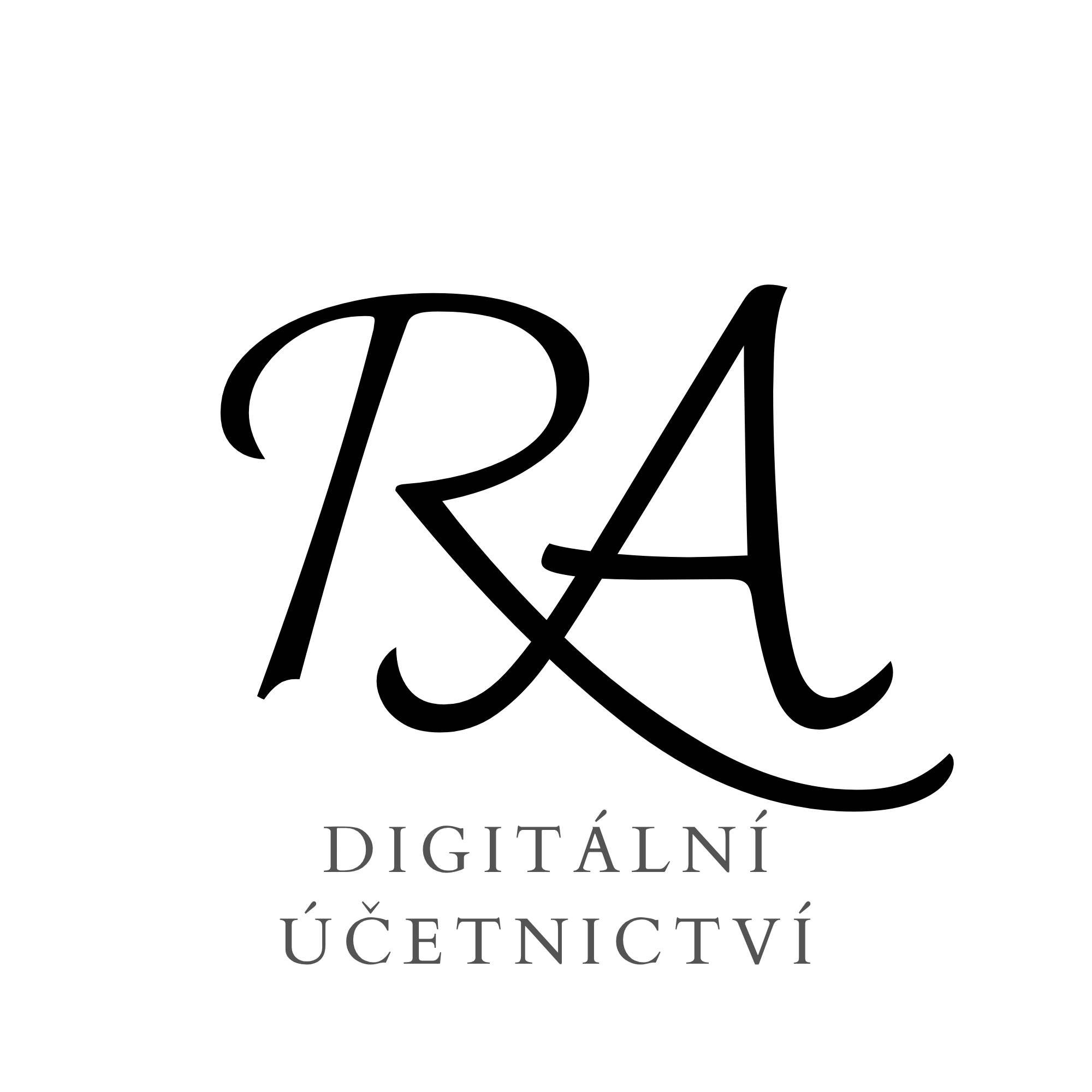 Digitální účetnictví